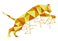 Tiger Pay